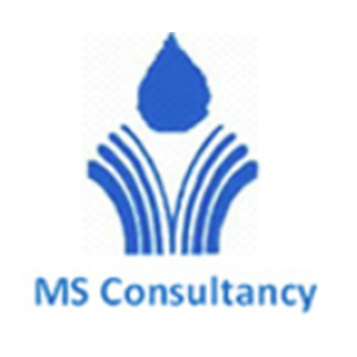 MS Consultancy